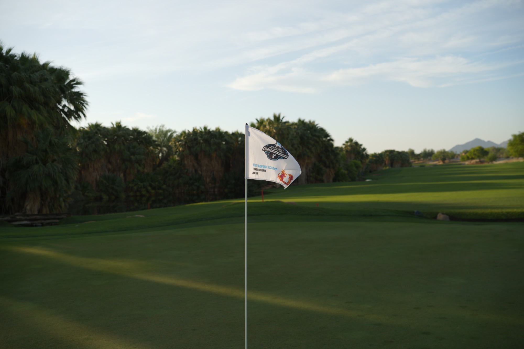 National Championships Flag