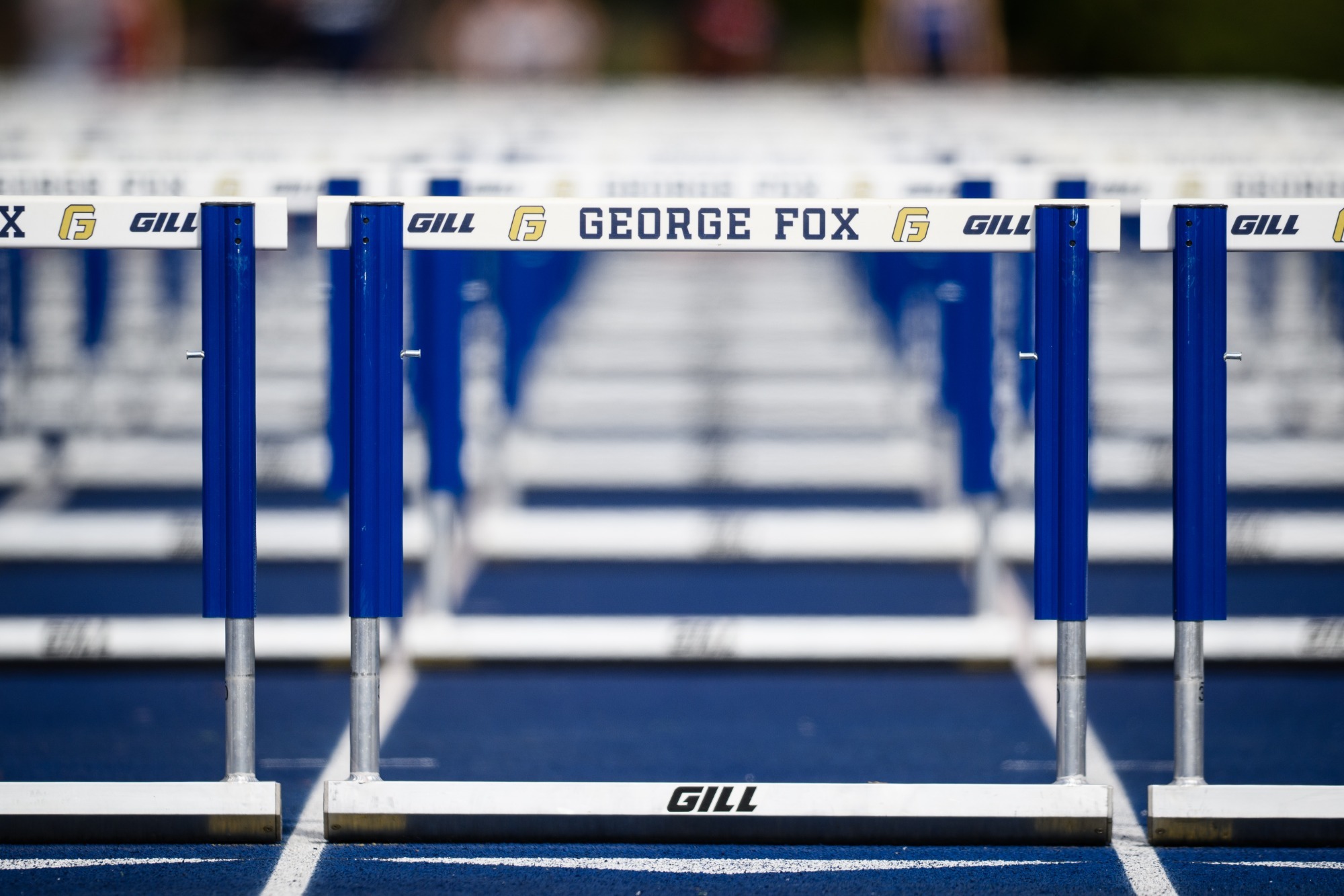 Generic track and field hurdle