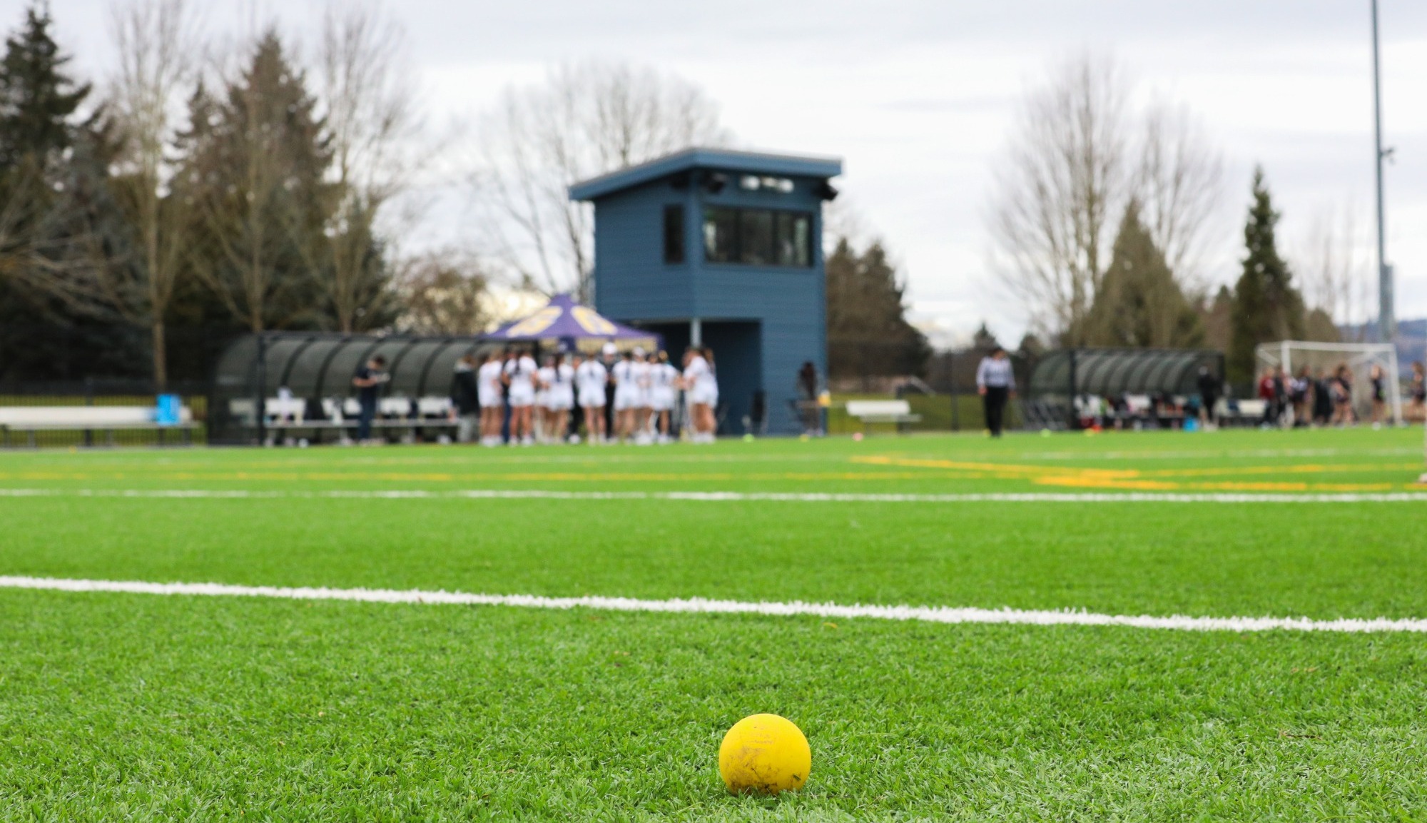 Lacrosse Ball in front of field