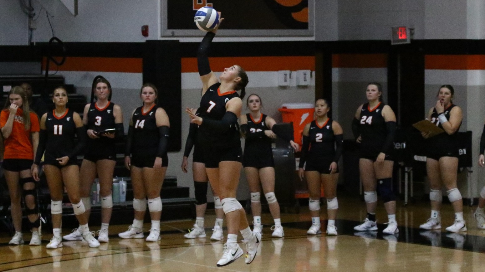 WVB