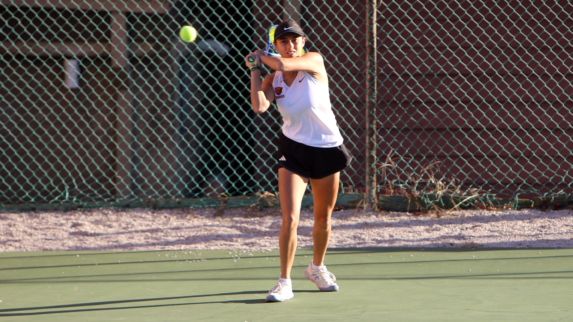 26wten0411 article