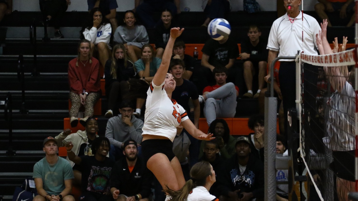 WVB