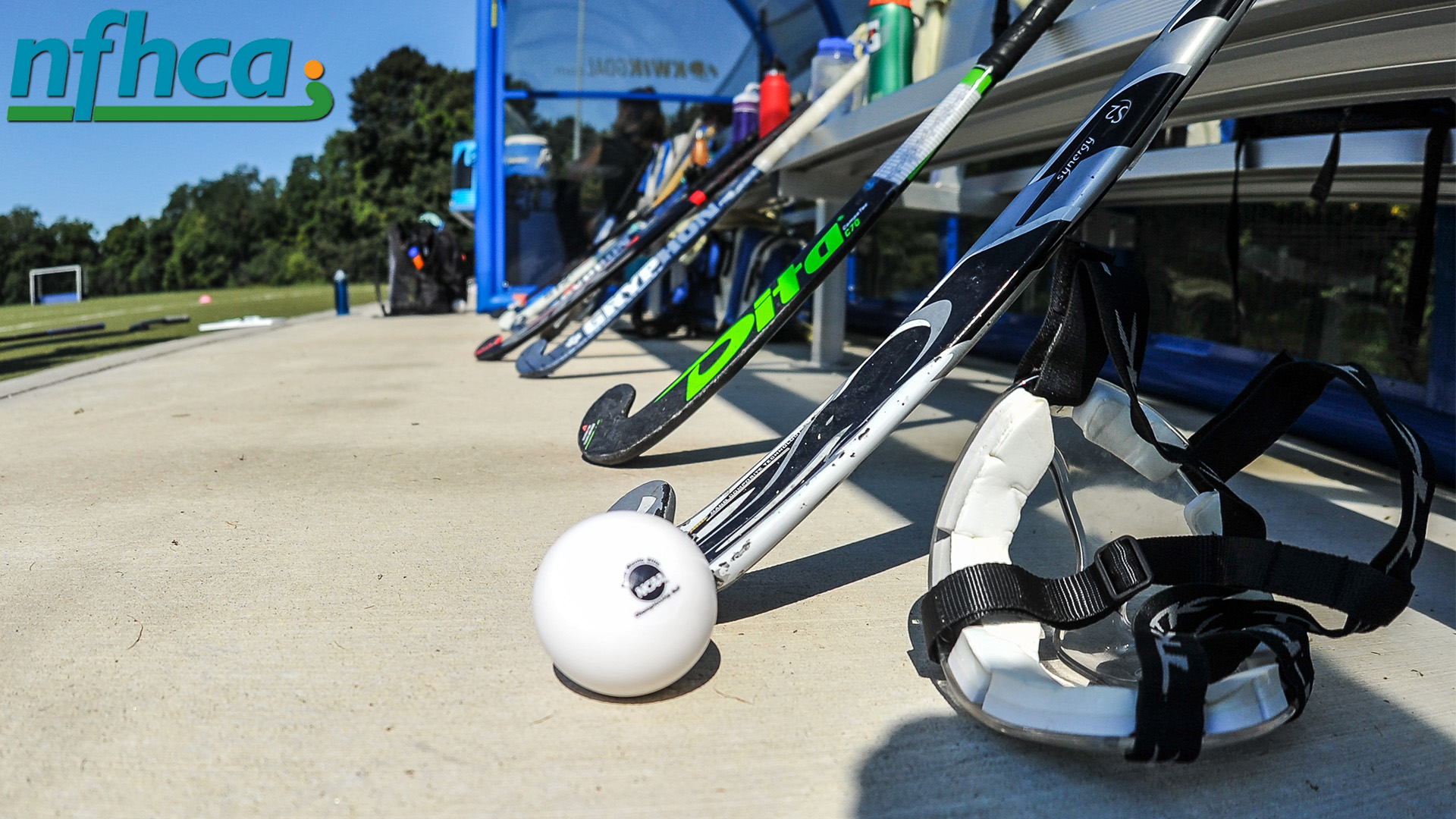 Sixteen field hockey players on National Academic Squad Hamilton College