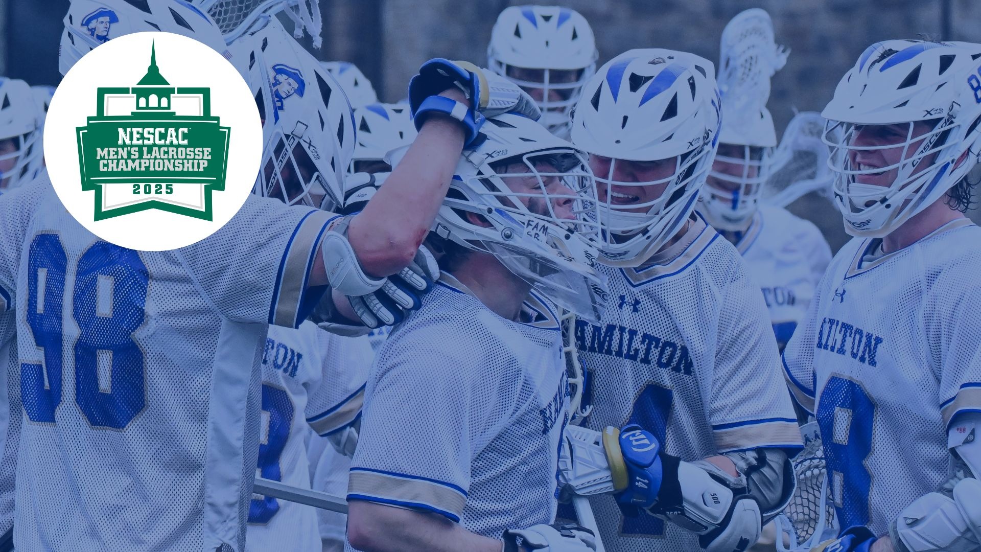 Men's Lacrosse players congratulate each other after scoring a goal