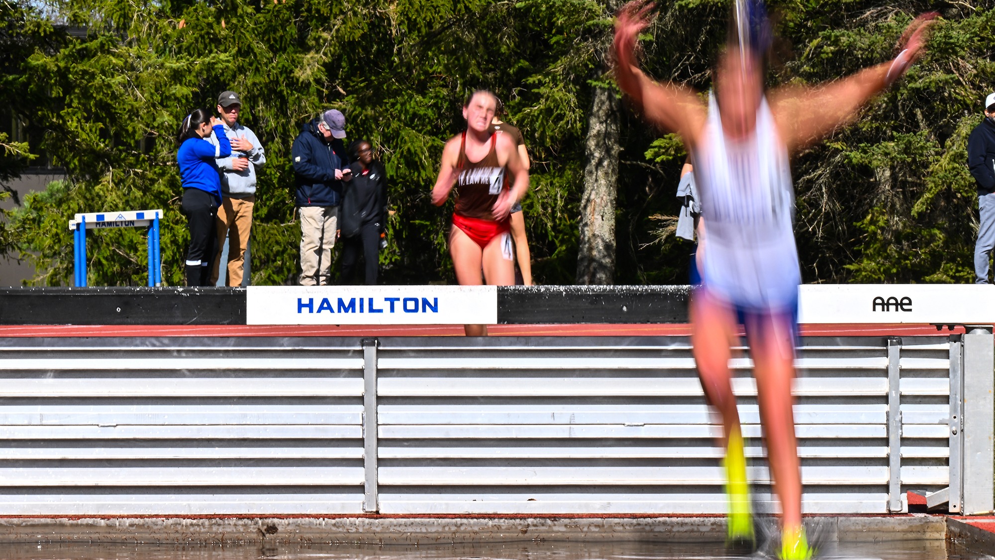 A Women's Track and Field athlete jumps over the steeplechase hurdle during the 2025 Hamilton Invitational 