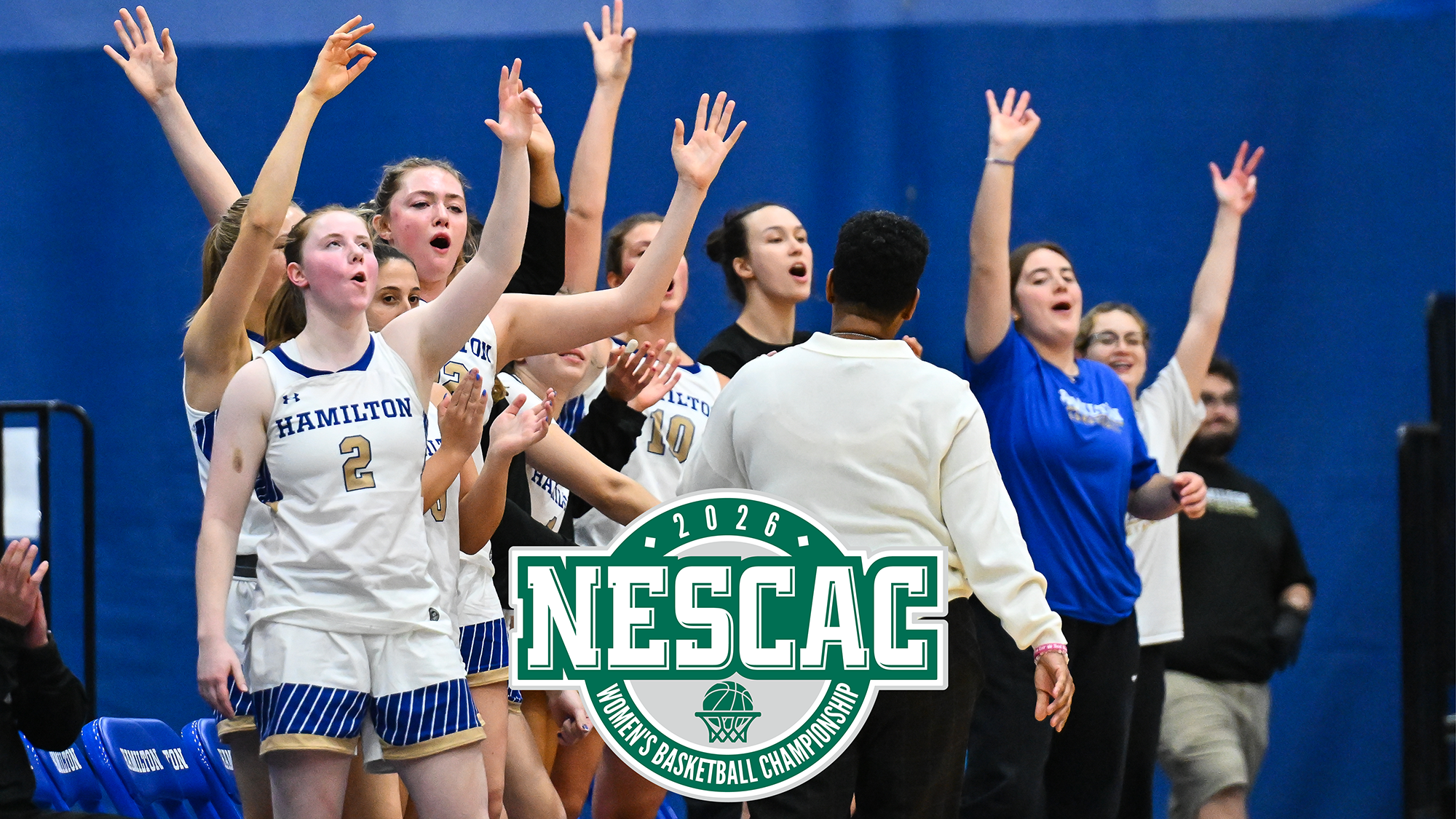 Women's Basketball players celebrate on the bench after a teammate makes a three-point basket