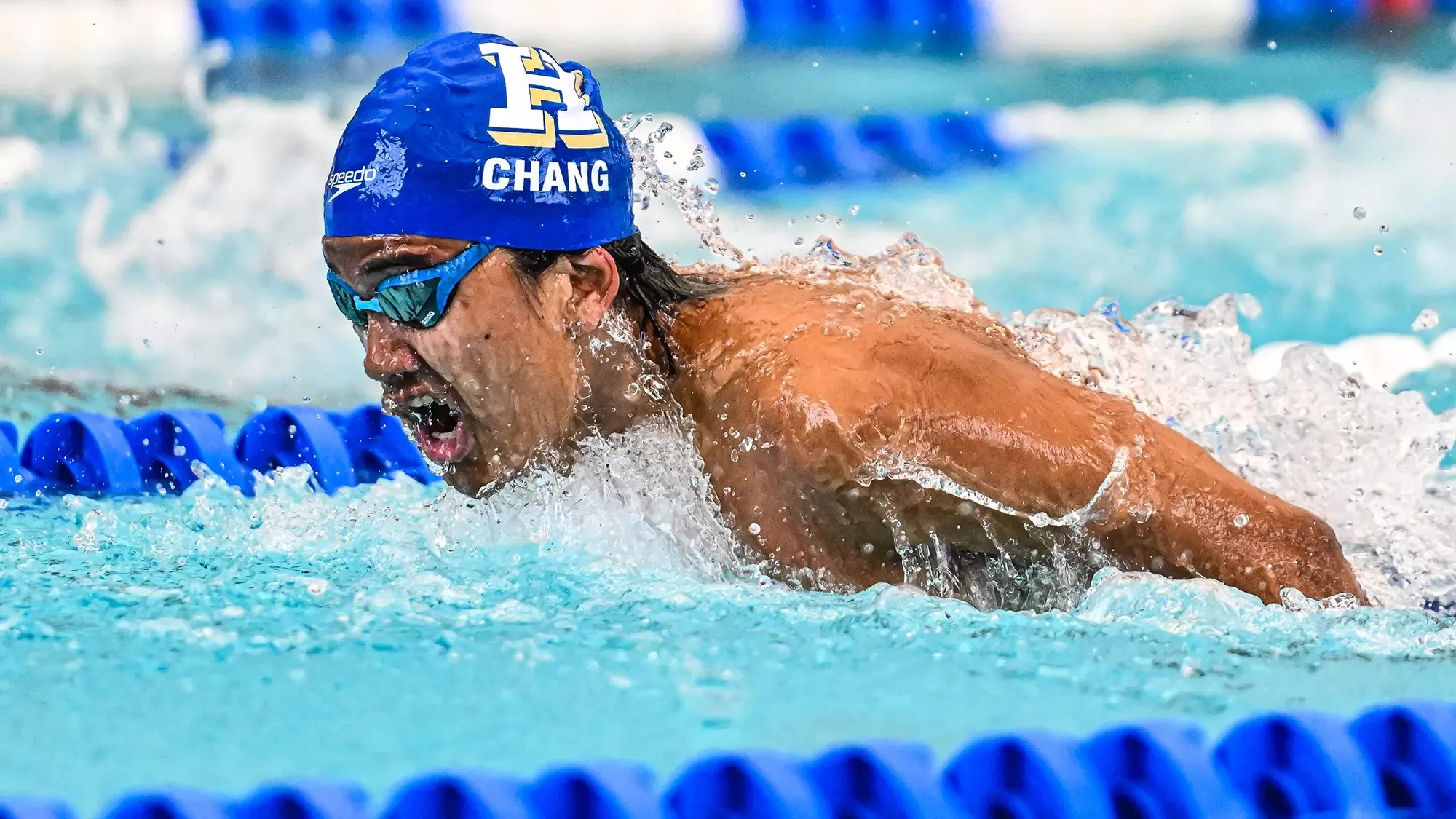 Matthew Chang swims the butterfly in the dual meet with RIT