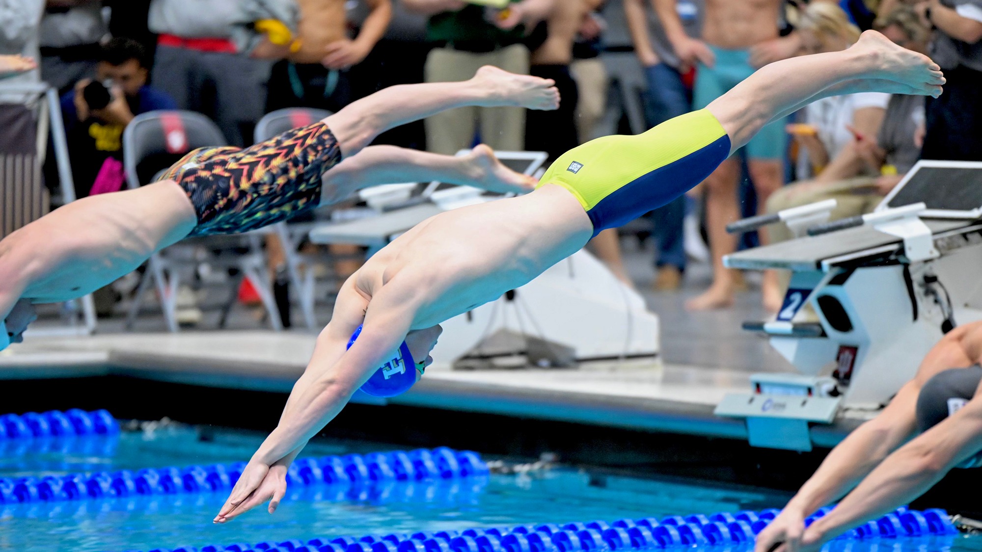 Nathaniel Taft dives into the water at the 2026 NCAA Swimming and Diving Championships