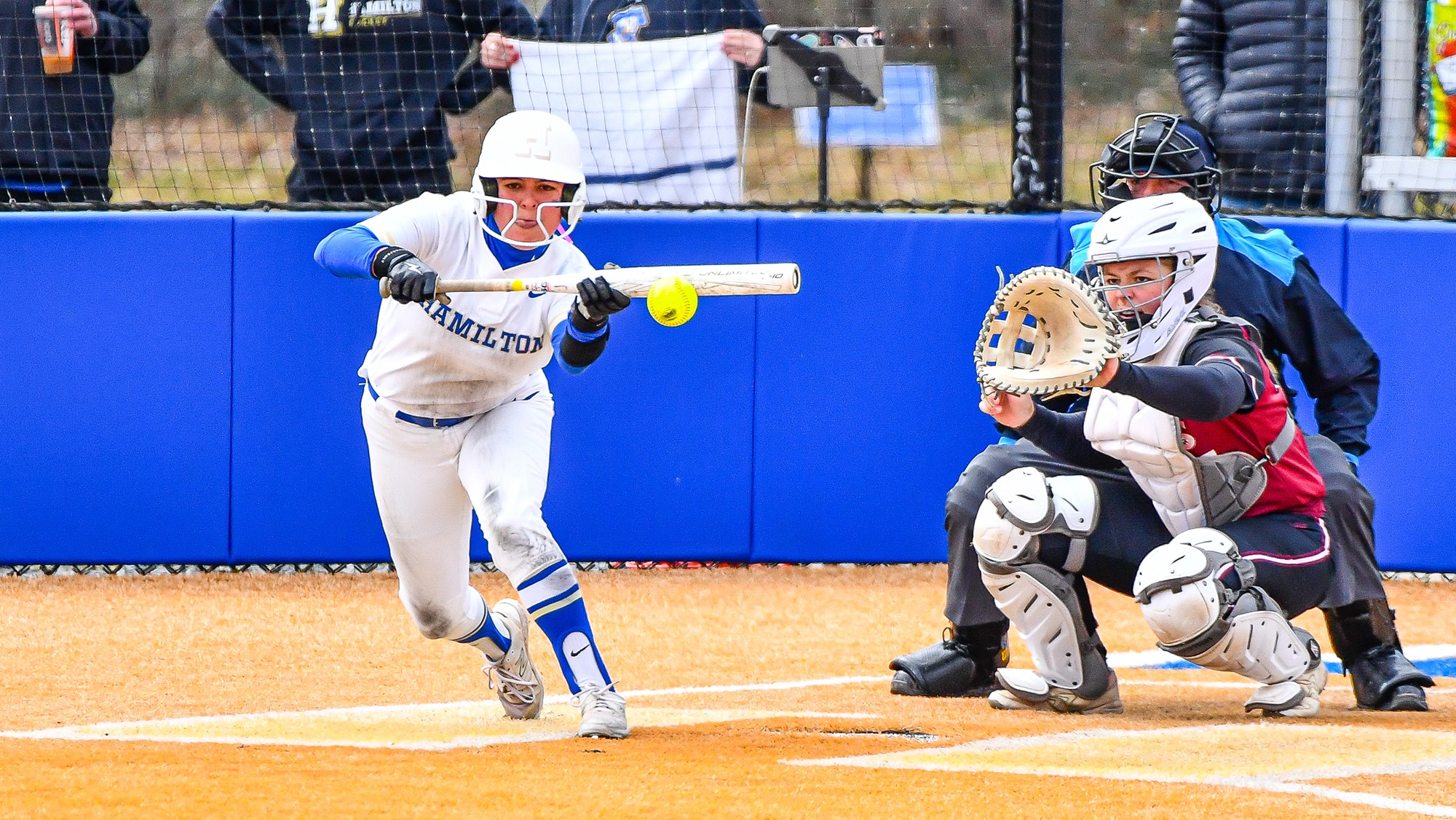 Sofia Santana lays down a bunt from the left side in a 2025 softball game against Bates