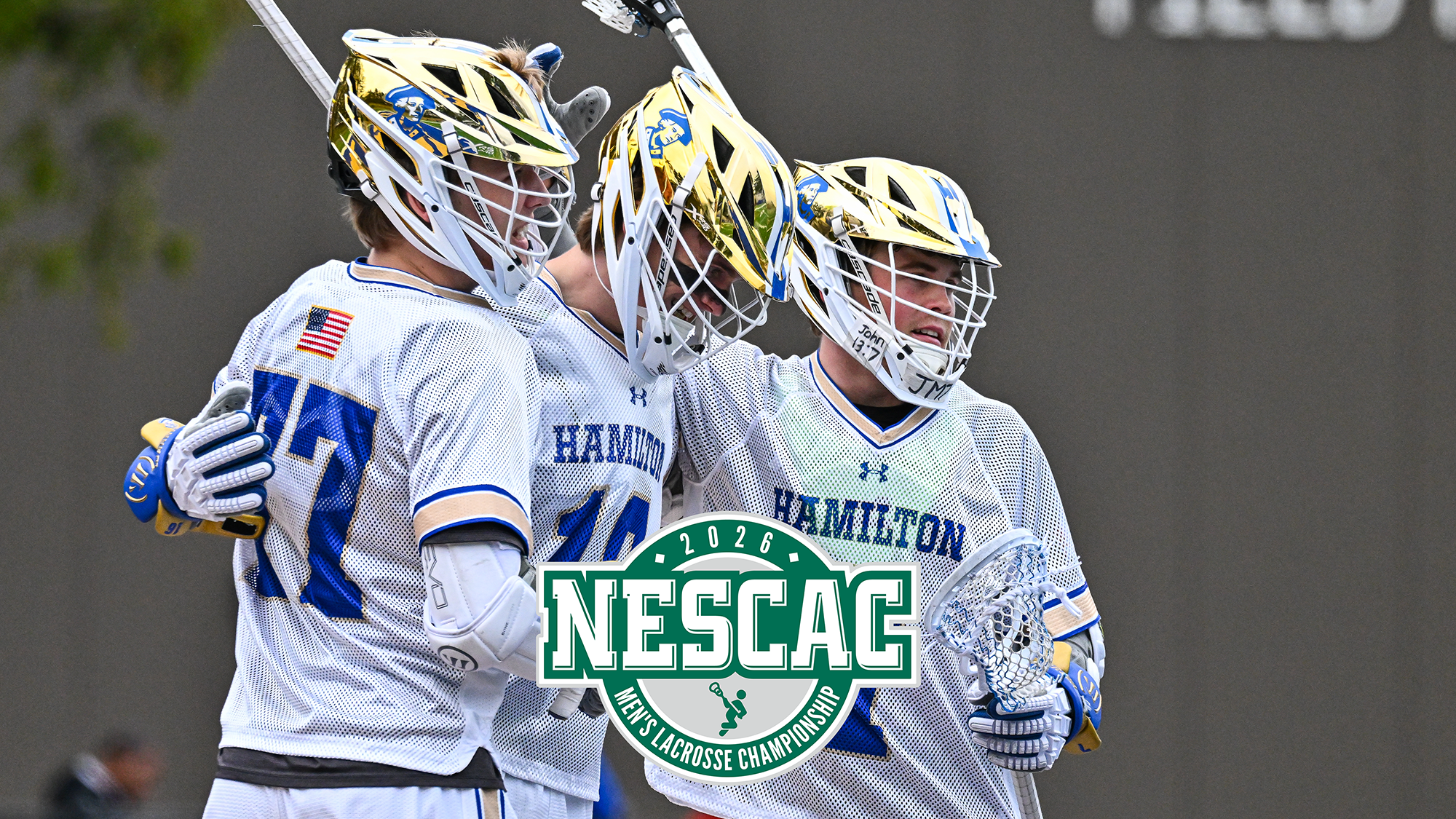 Men's Lacrosse players celebrate after scoring a goal