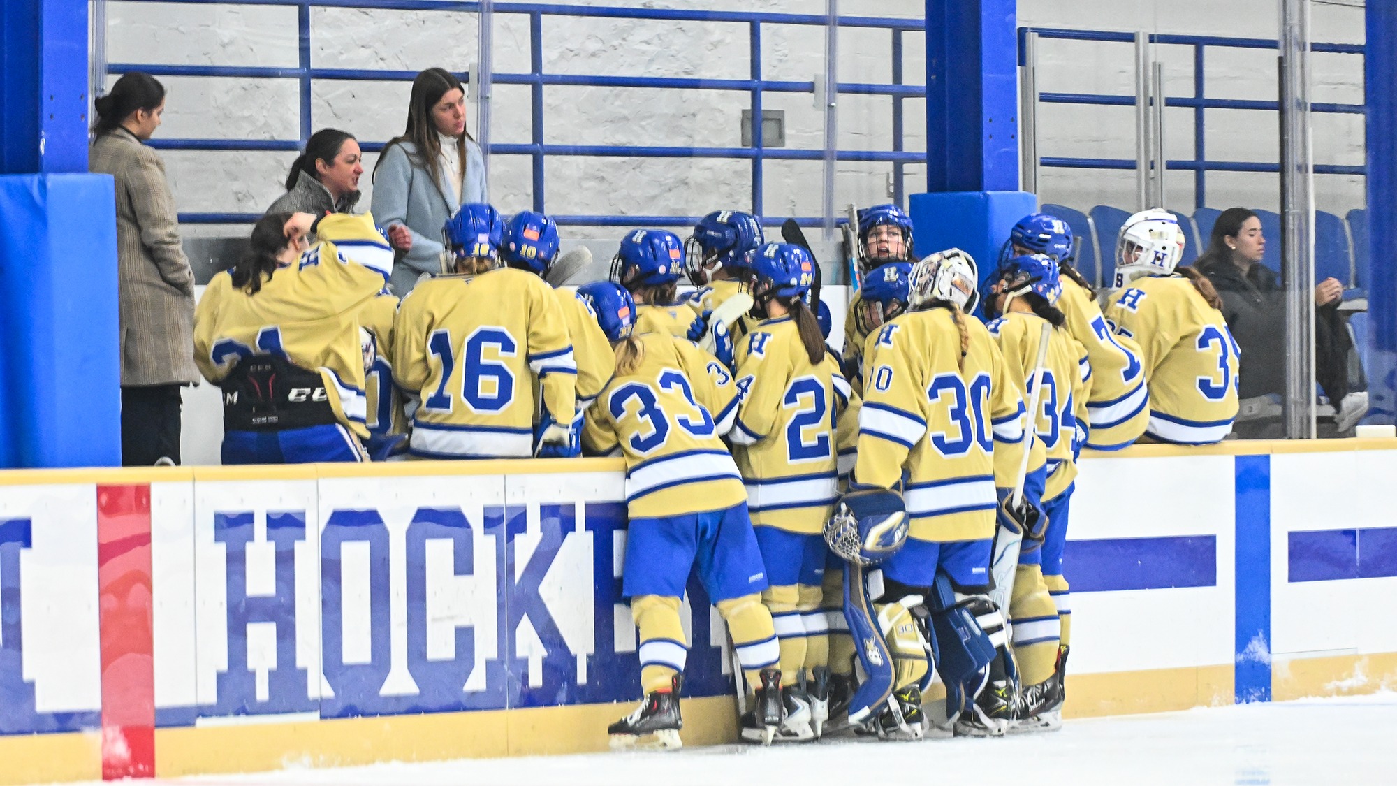 Hamilton College women's hockey players listen to the coaching staff at the bench during a timeout