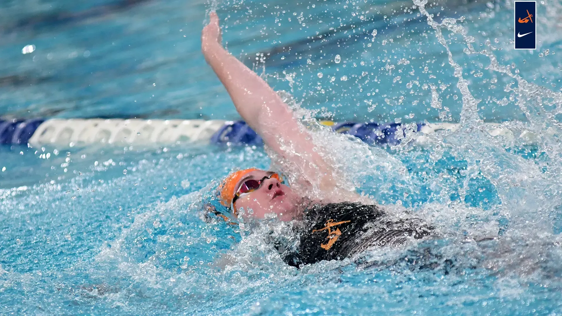 Women's Swim & Dive Grand Valley Invitational
