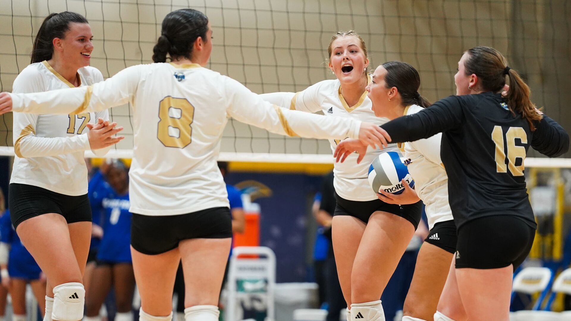 Volleyball Group