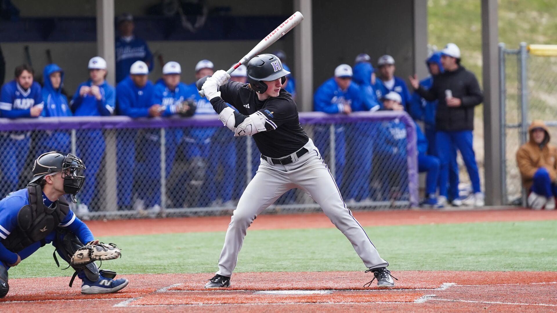 Vinny at bat