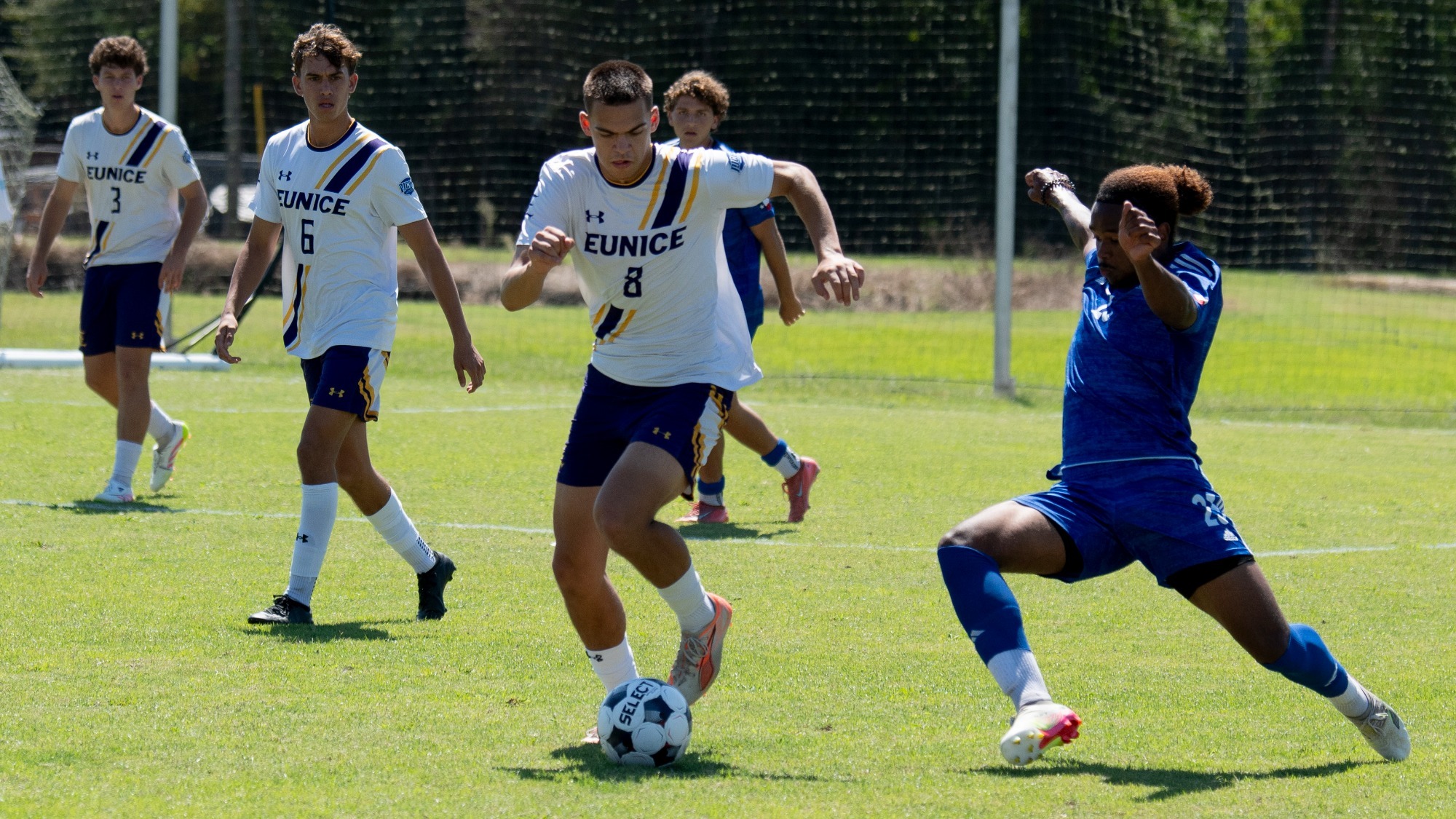 Roko Rojevcan breaks loose against Blinn