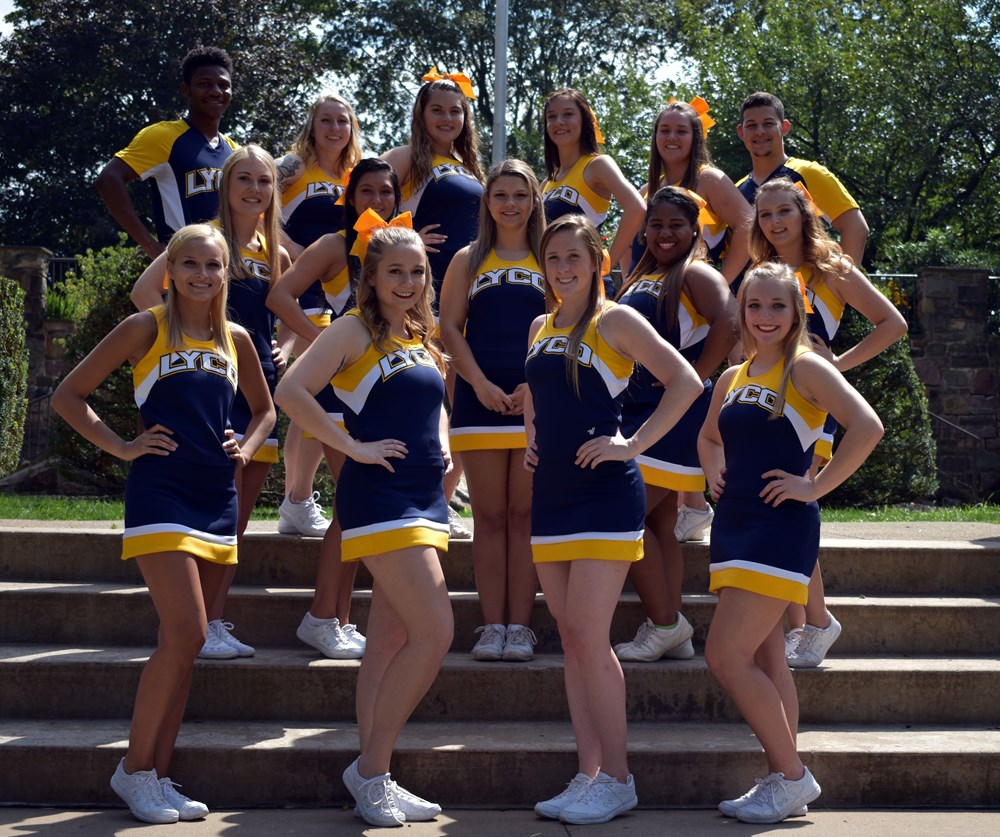 2017 Cheerleading Team