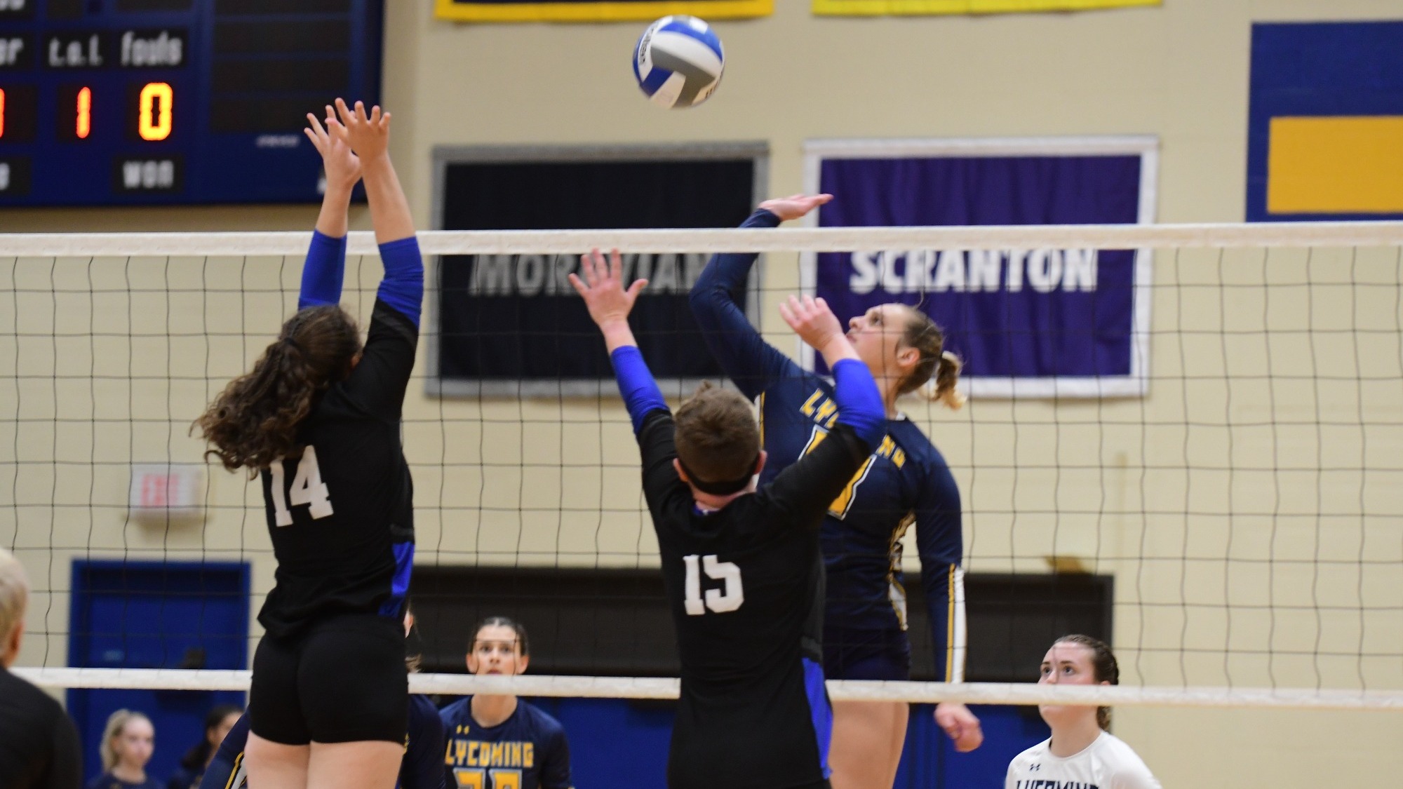 Cameron Upcraft 2023 Volleyball College Athletics