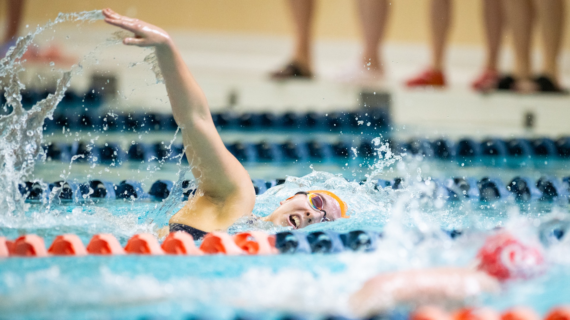 WSD Freestyle 01csb 2526