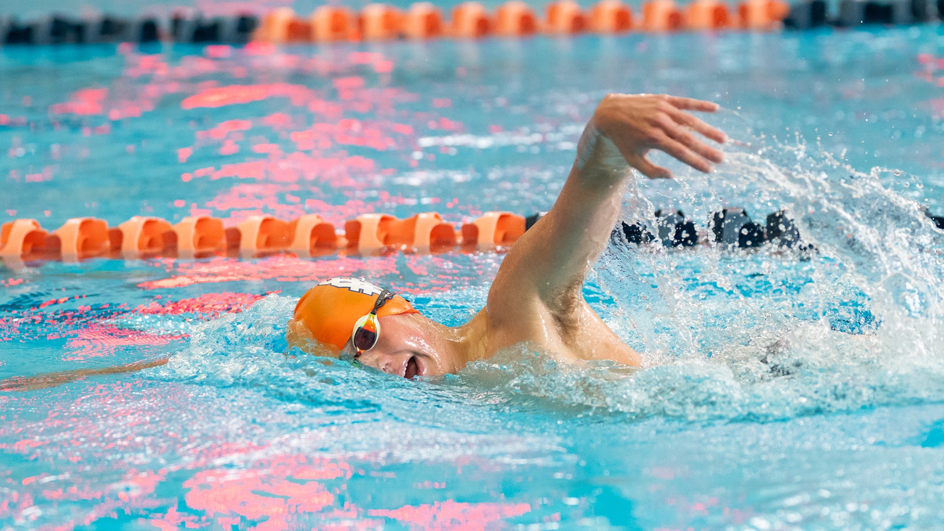 MSD free 01stolaf 2526