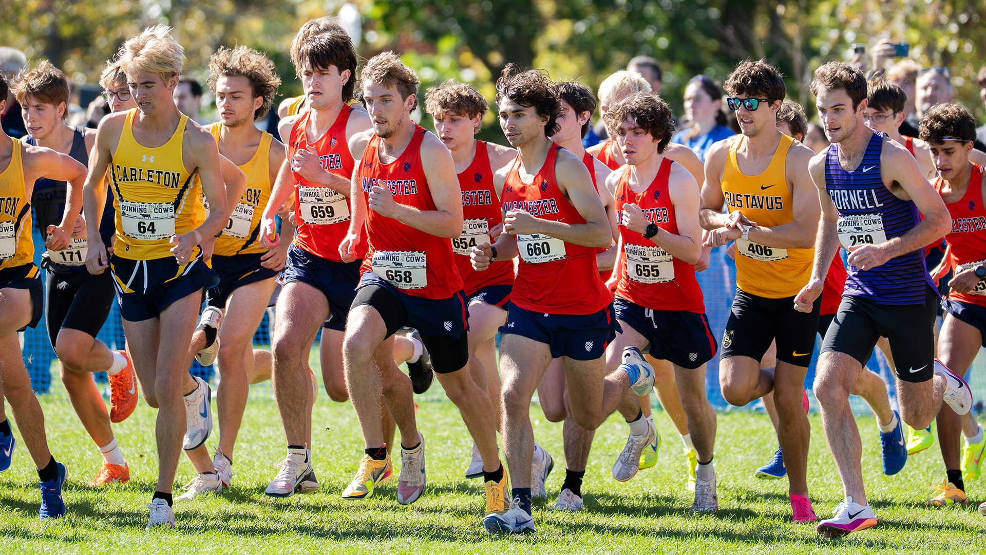 MXC Group 01carleton 26an