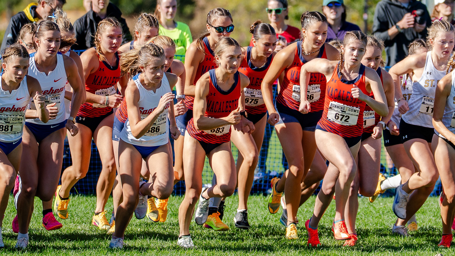 WXC Group 04carleton 26an