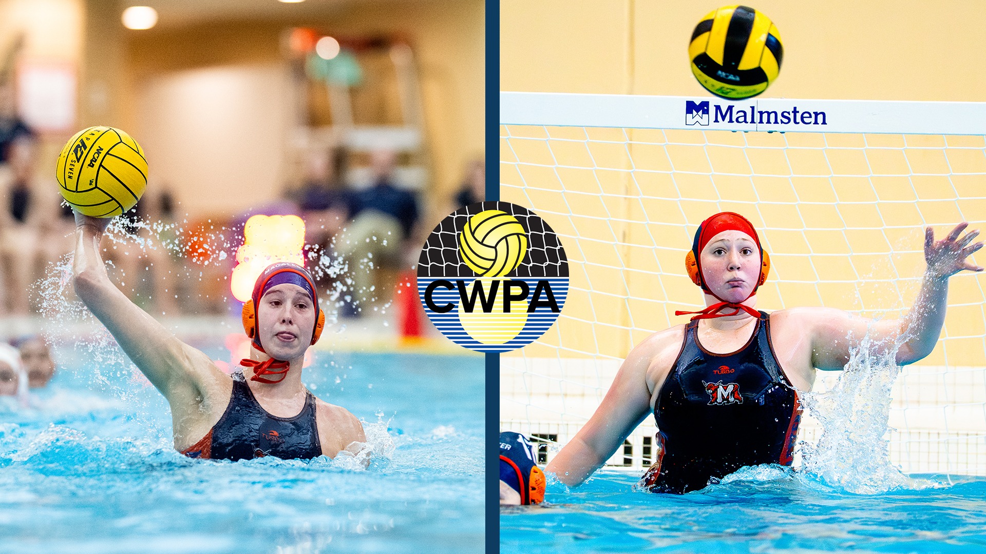 WP Palmer Sammons Kratt AOW 31826