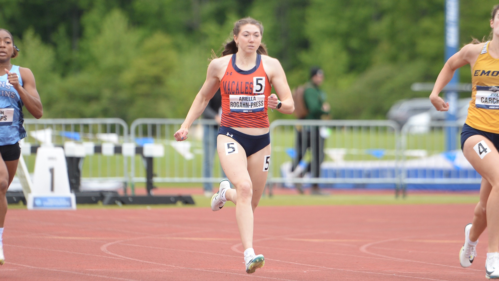 Ariella Rogahn Press 01ncaao 25dk