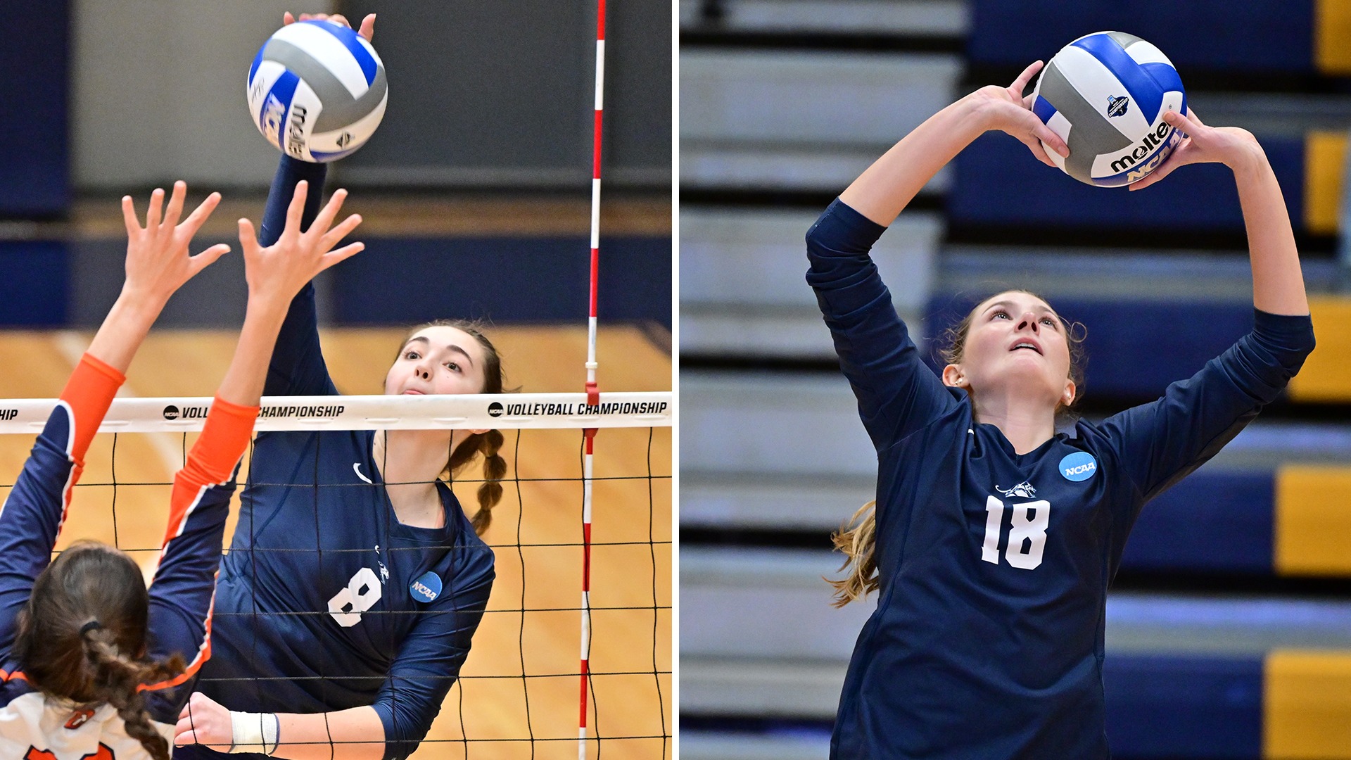 VBAllAmerican24GraphicWeb