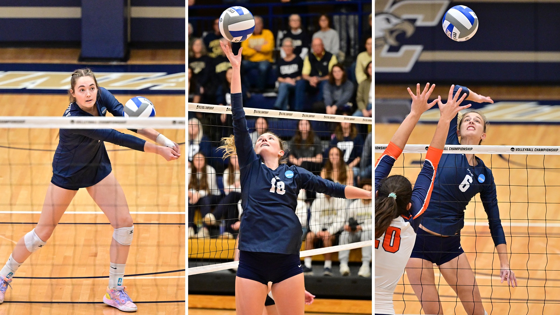 CSCAcademicAllDistrictVB24