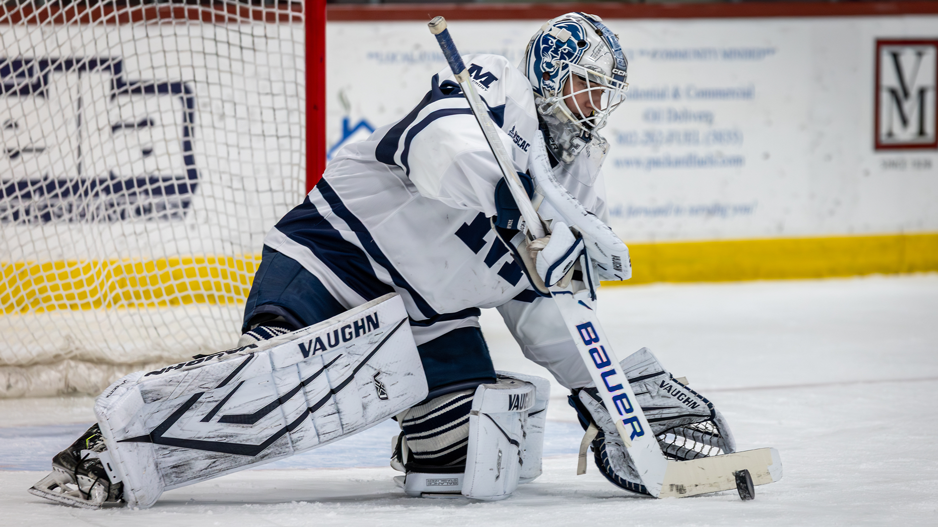 AndrewHeinze25PlattsburghState