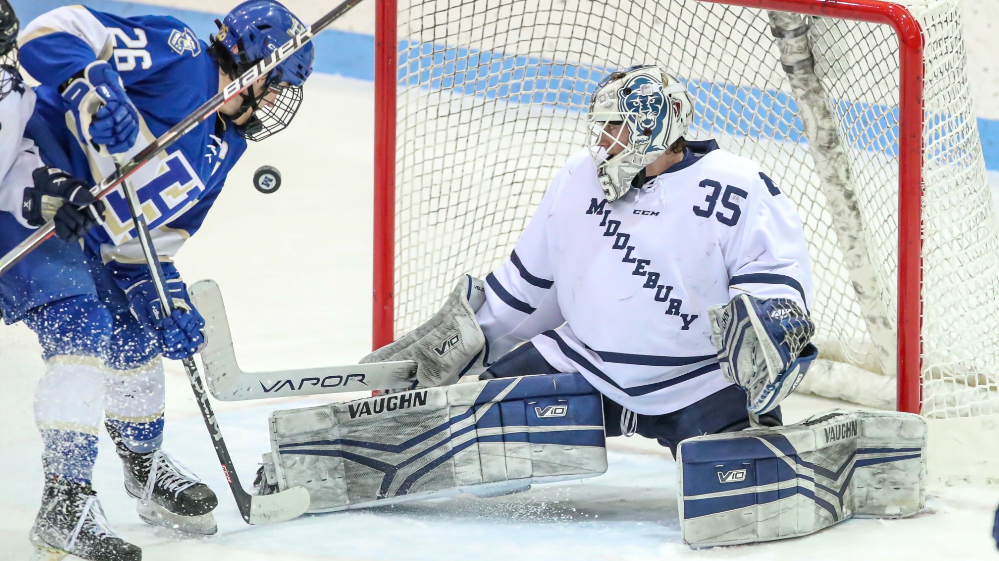 AndrewHeinze25Hamilton