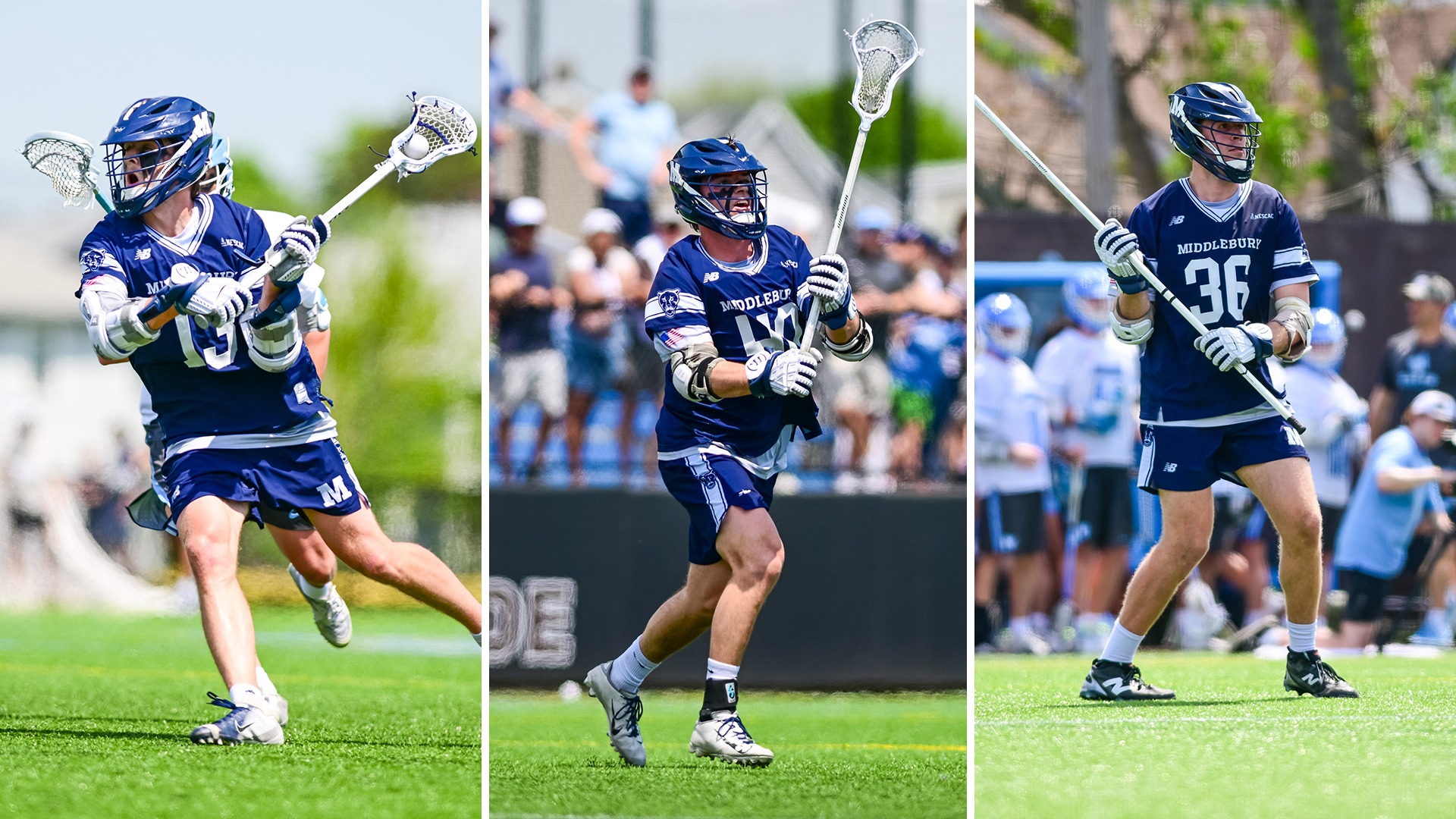 MLaxAllRegion25 copy