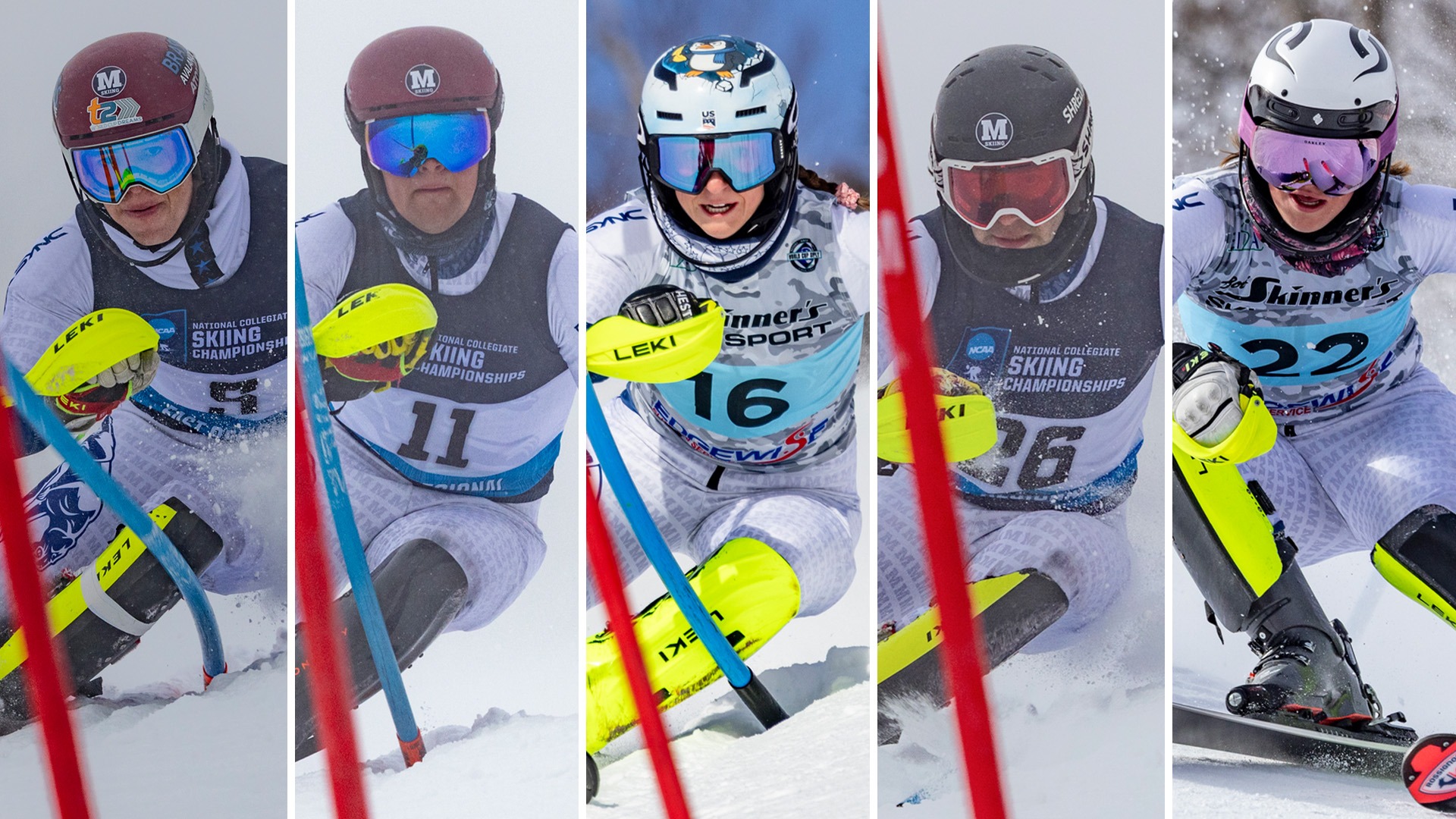 AlpineAllRegion26Web