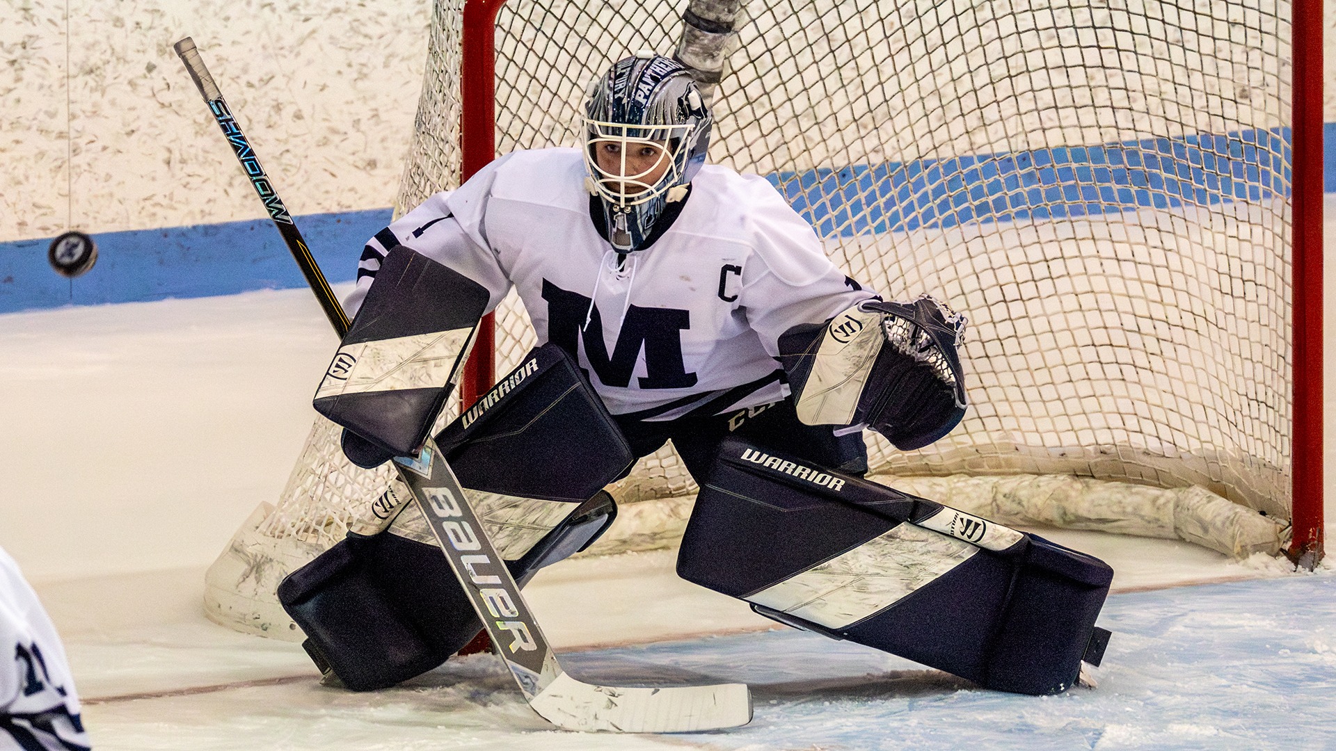 SophiaWill25Endicott_Cropped