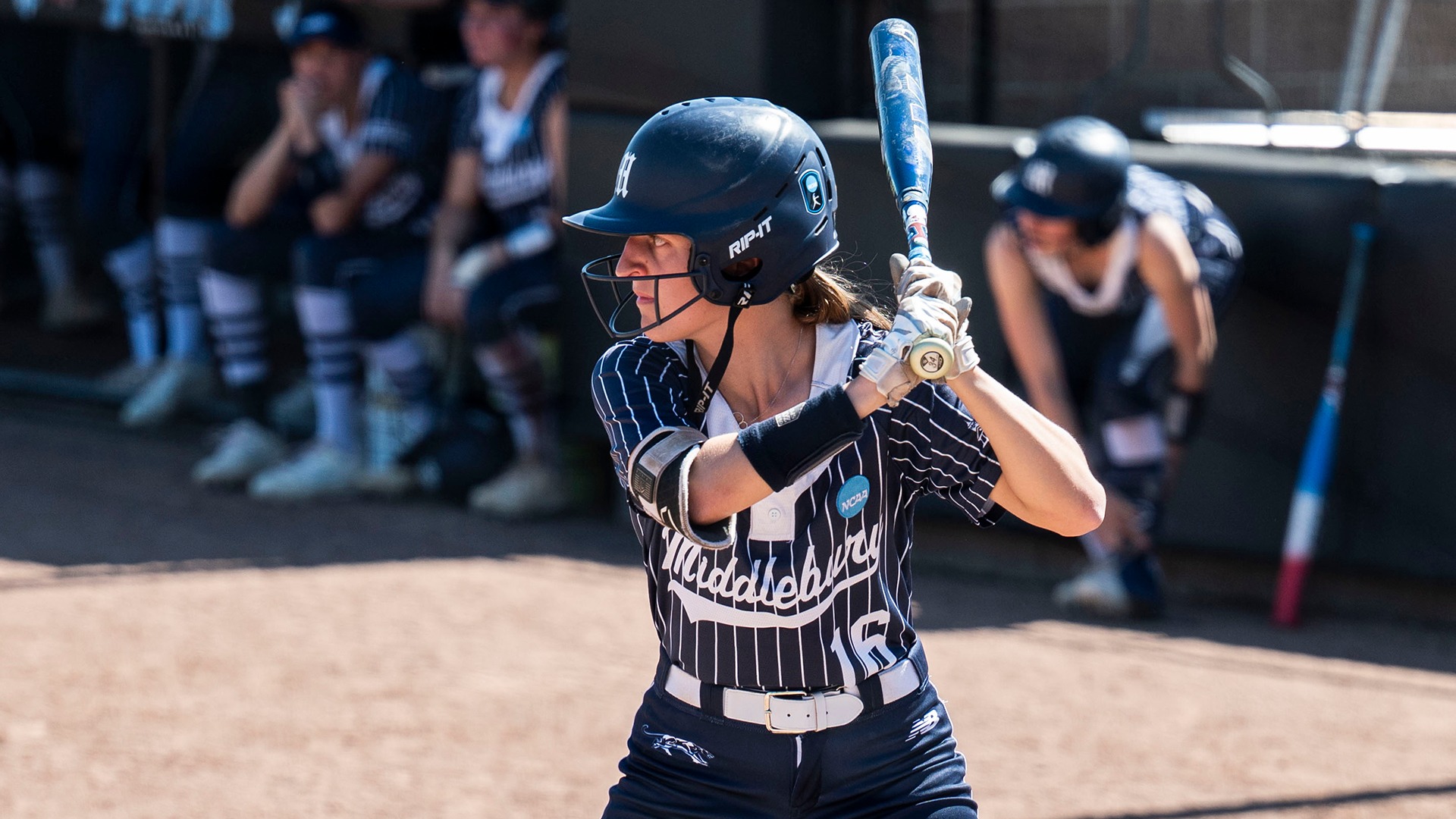 Kristyn Carroll readies to swing during Middlebury's game against Tufts in the NCAA Regional round.
