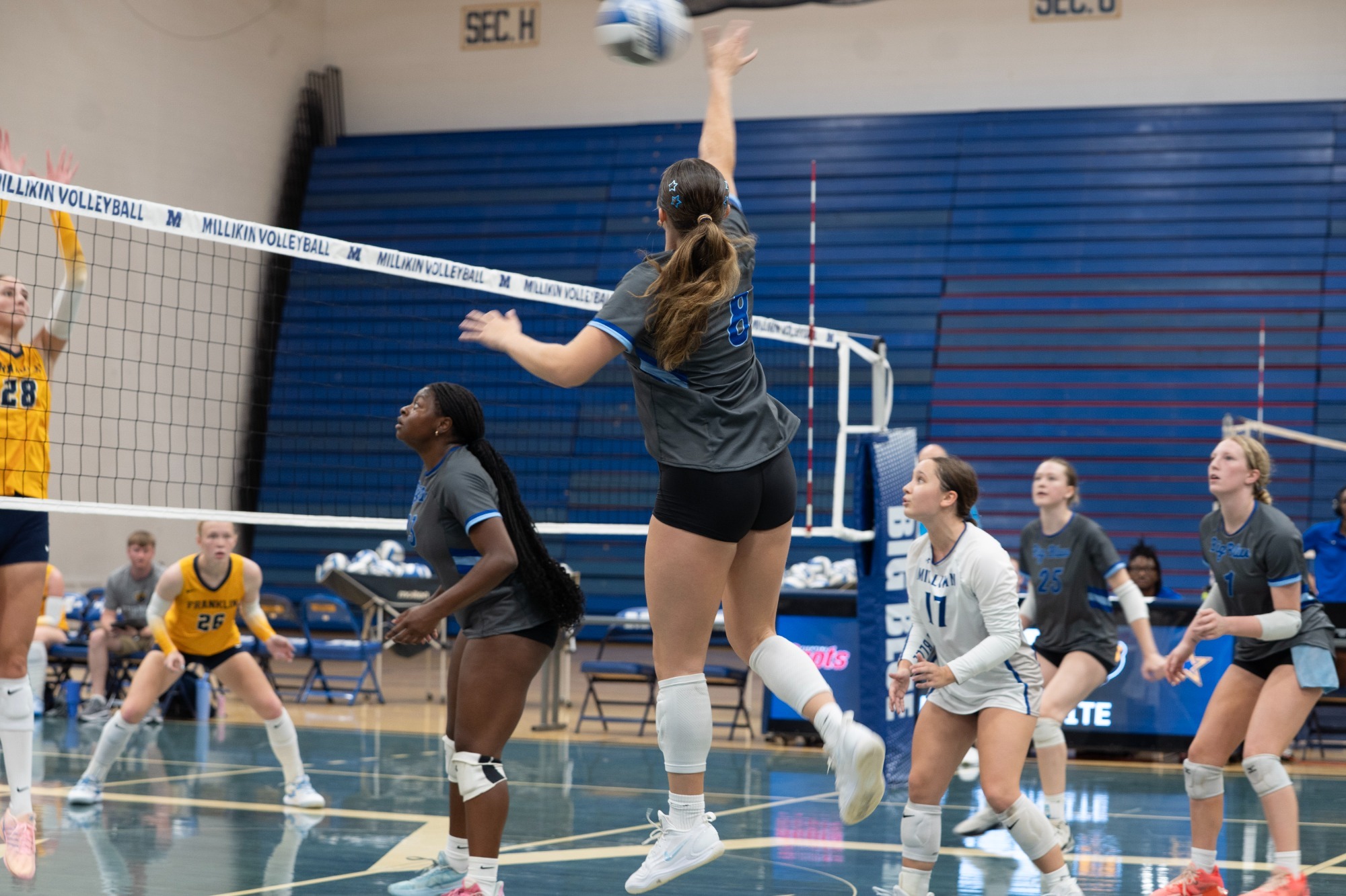 VB v Franklin