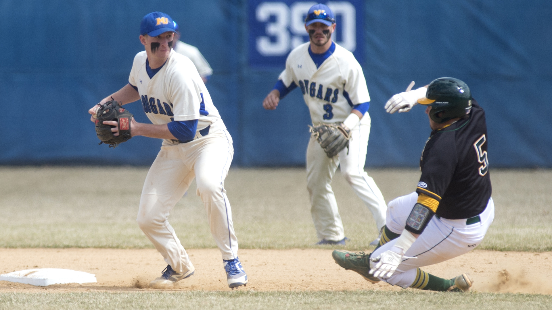 Sean Boylan Baseball Misericordia University Athletics