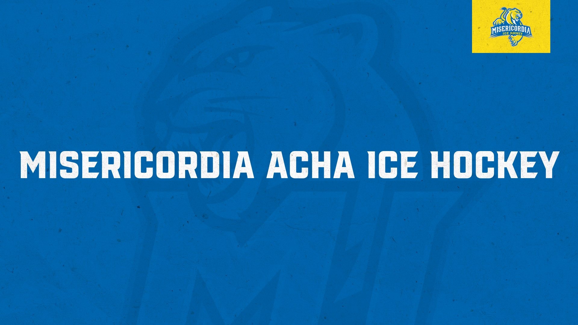 Misericordia ACHA Ice Hockey
