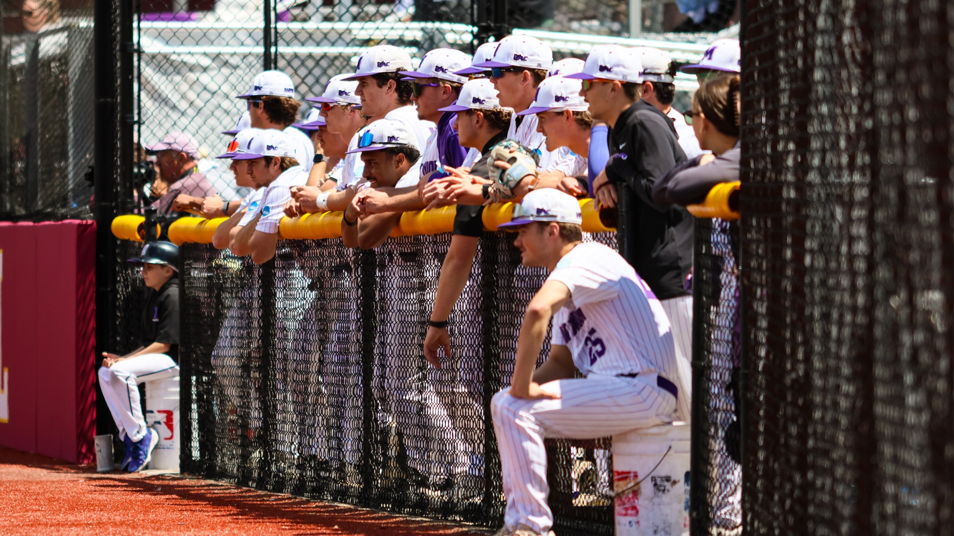 2026 Baseball NCAA Regionals