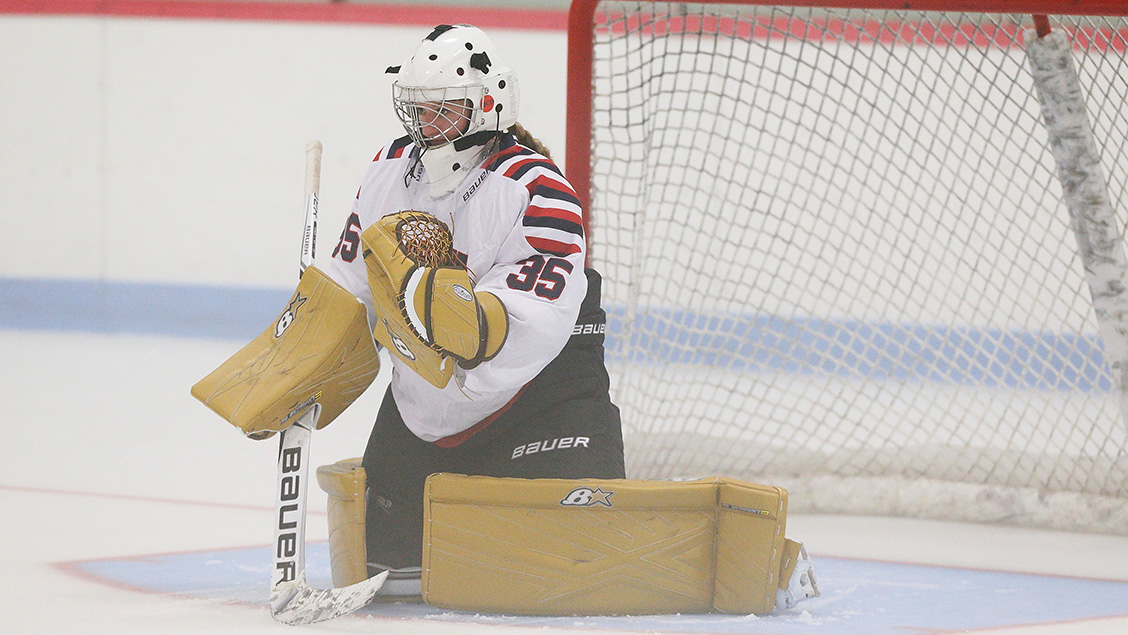 Women's Ice Hockey Blanked by SUNY Potsdam, 30 New England College