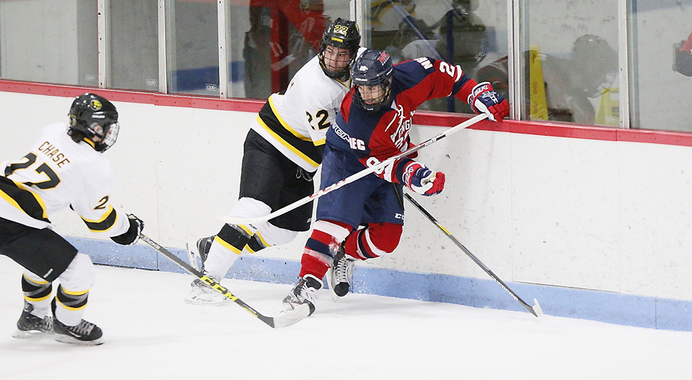 Men's Ice Hockey Bests Babson, 53 New England College