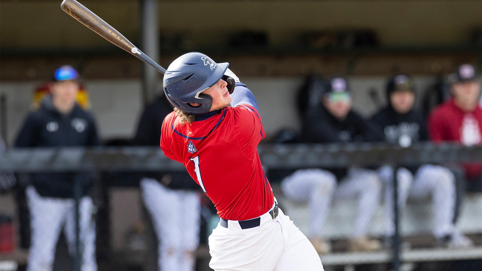 cote-sparks-baseball-past-blue-jays-7-5-new-england-college