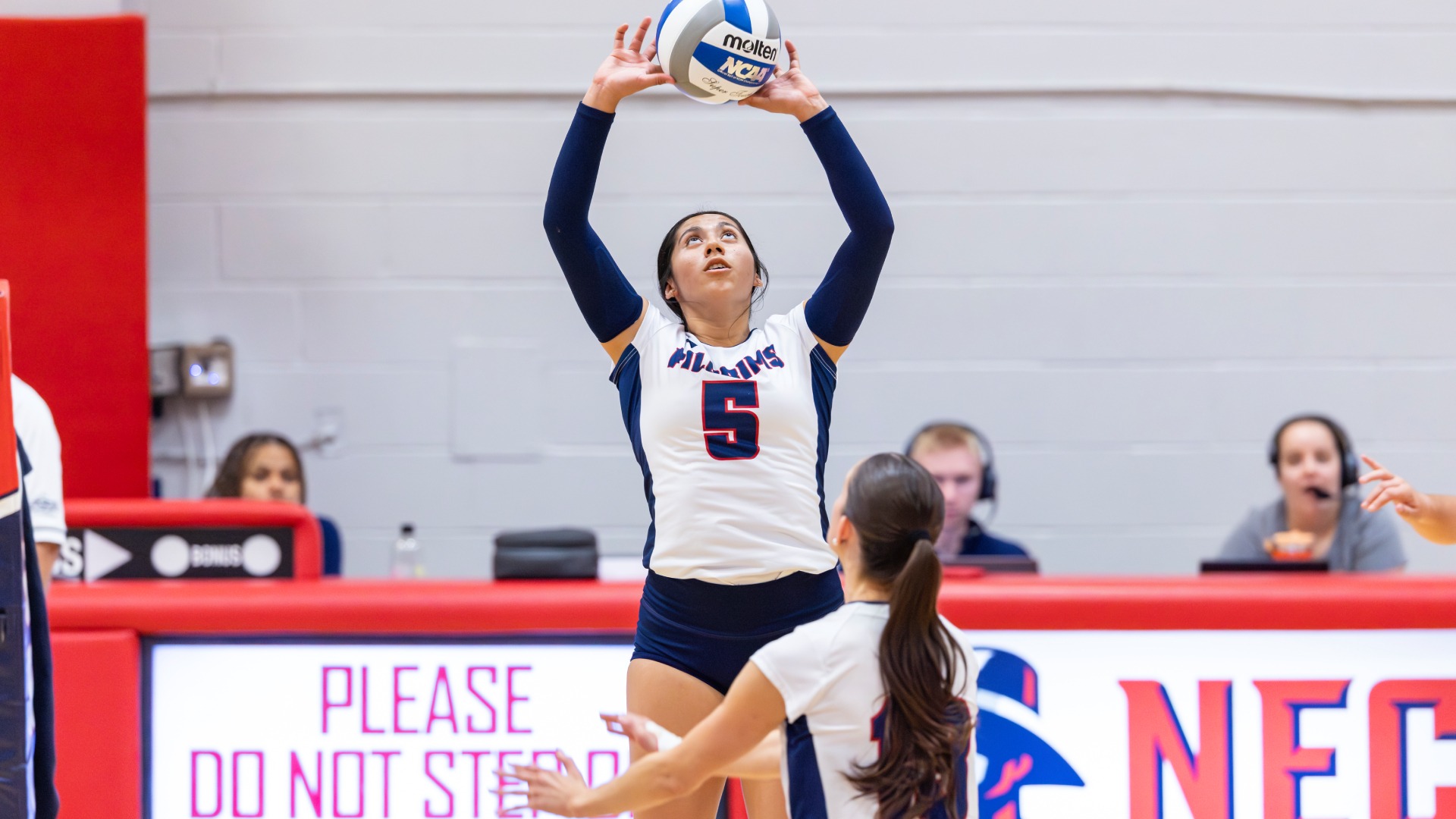 Aurora Gutierrez-Macias