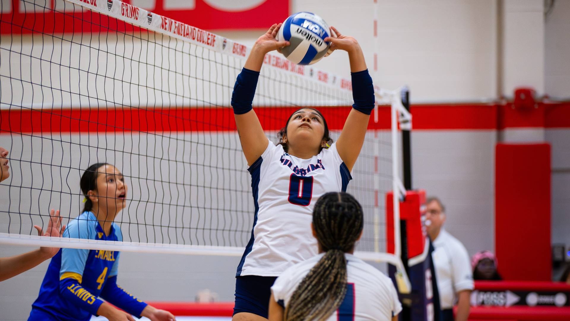 Alexandra Seijas-Quea