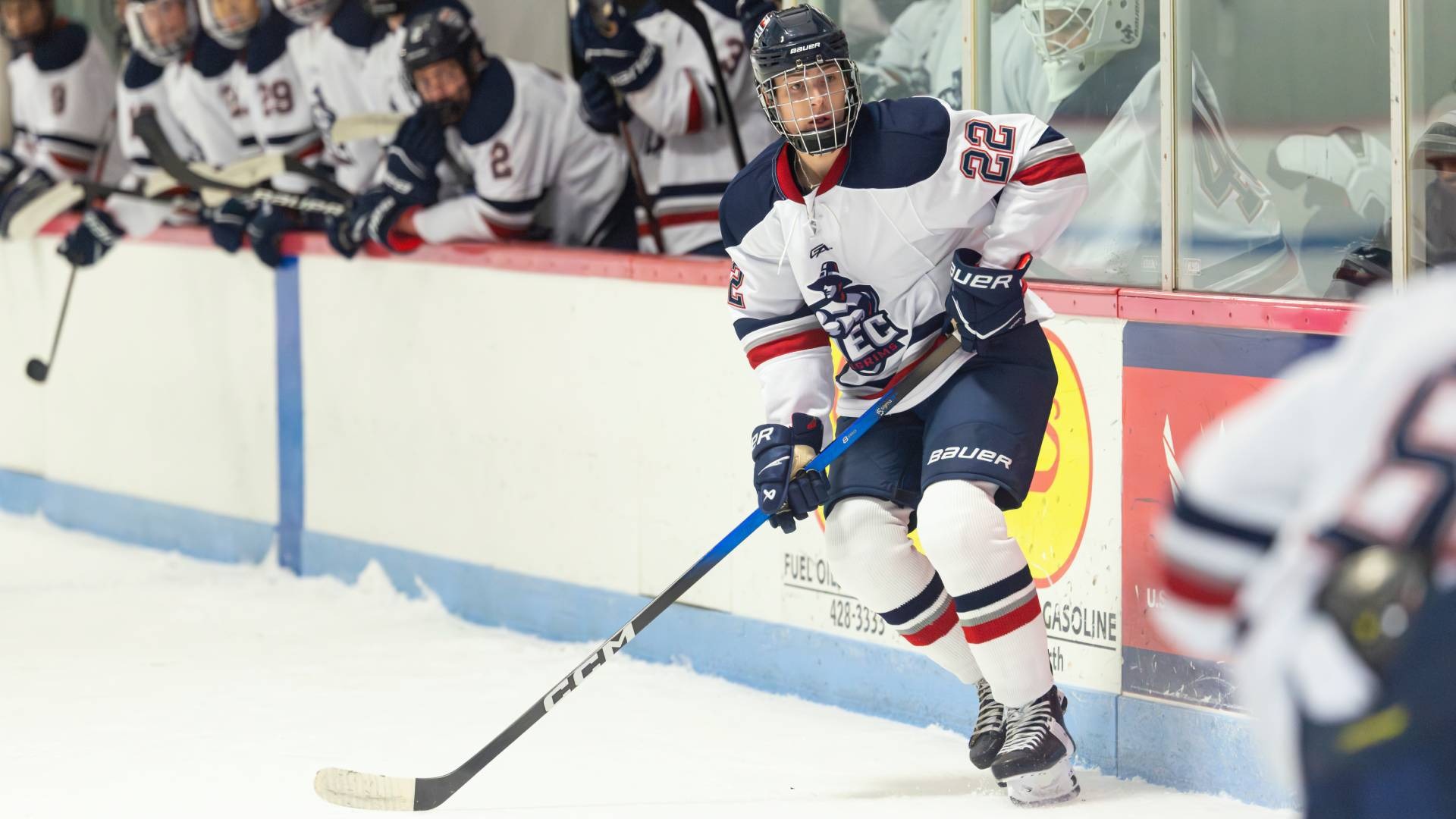 Vesse-Wincent Lampen