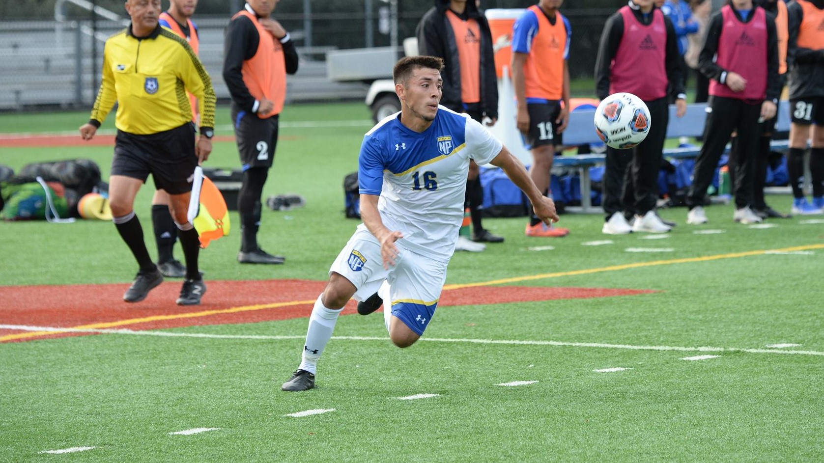 Alfredo Pichardo Men's Soccer North Park University Athletics