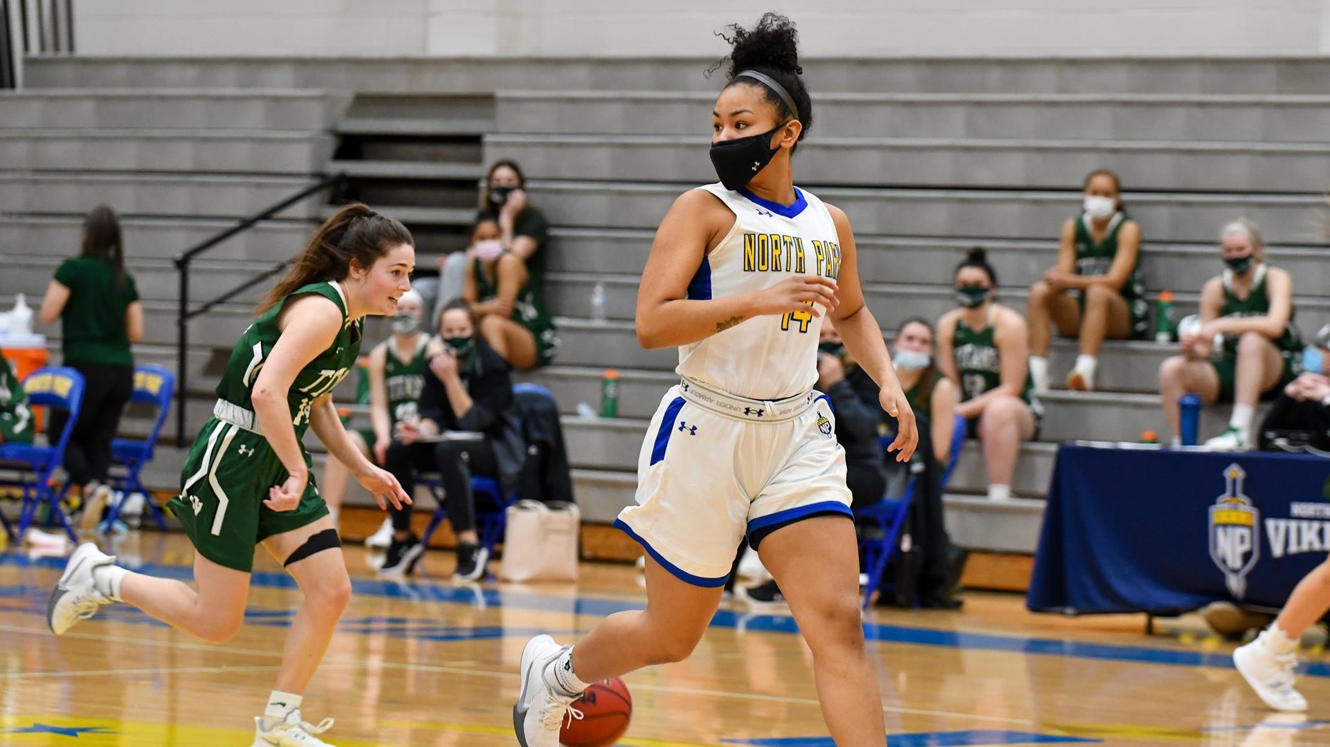 Ashton Hudson Women's Basketball North Park University Athletics