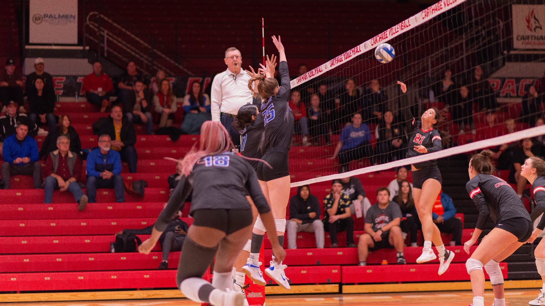 Meg Rothermel Women's Volleyball North Park University Athletics