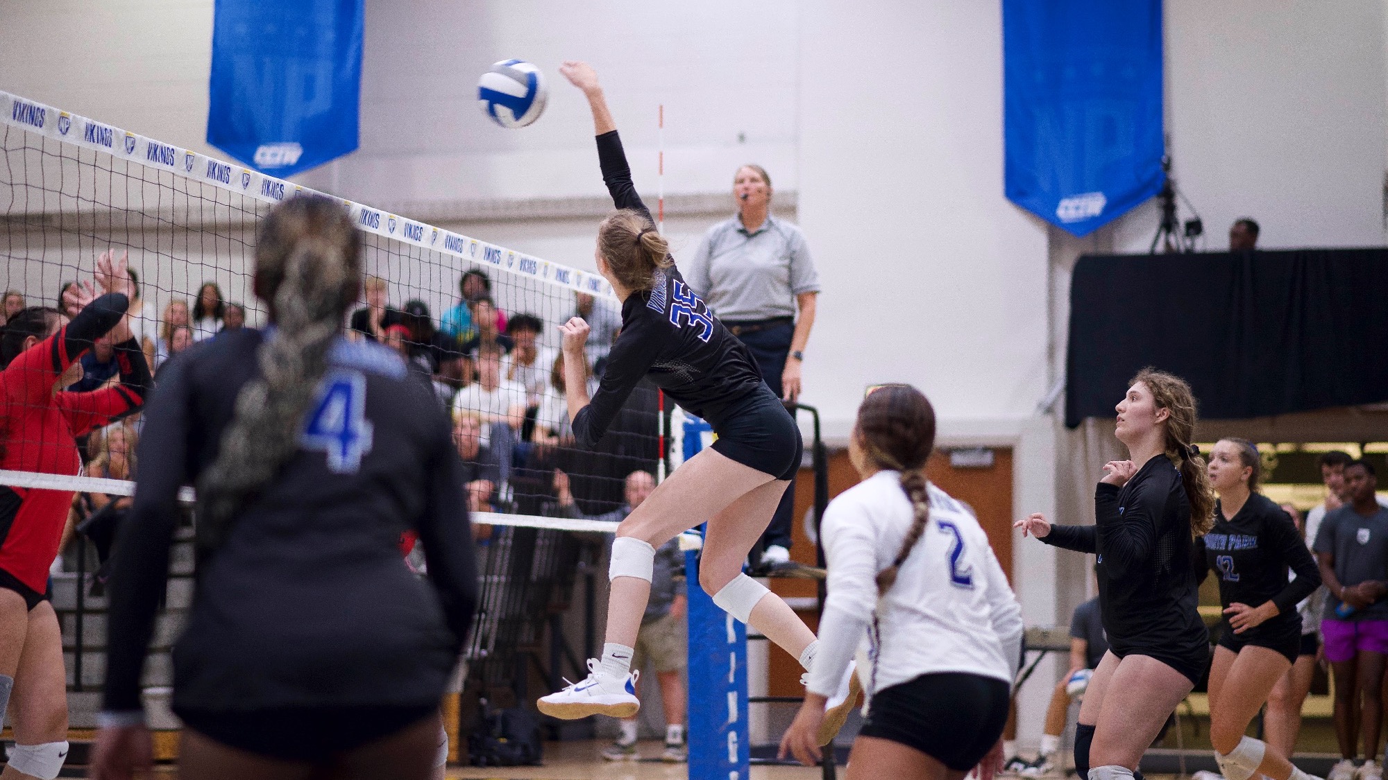 Meg Rothermel Women's Volleyball North Park University Athletics