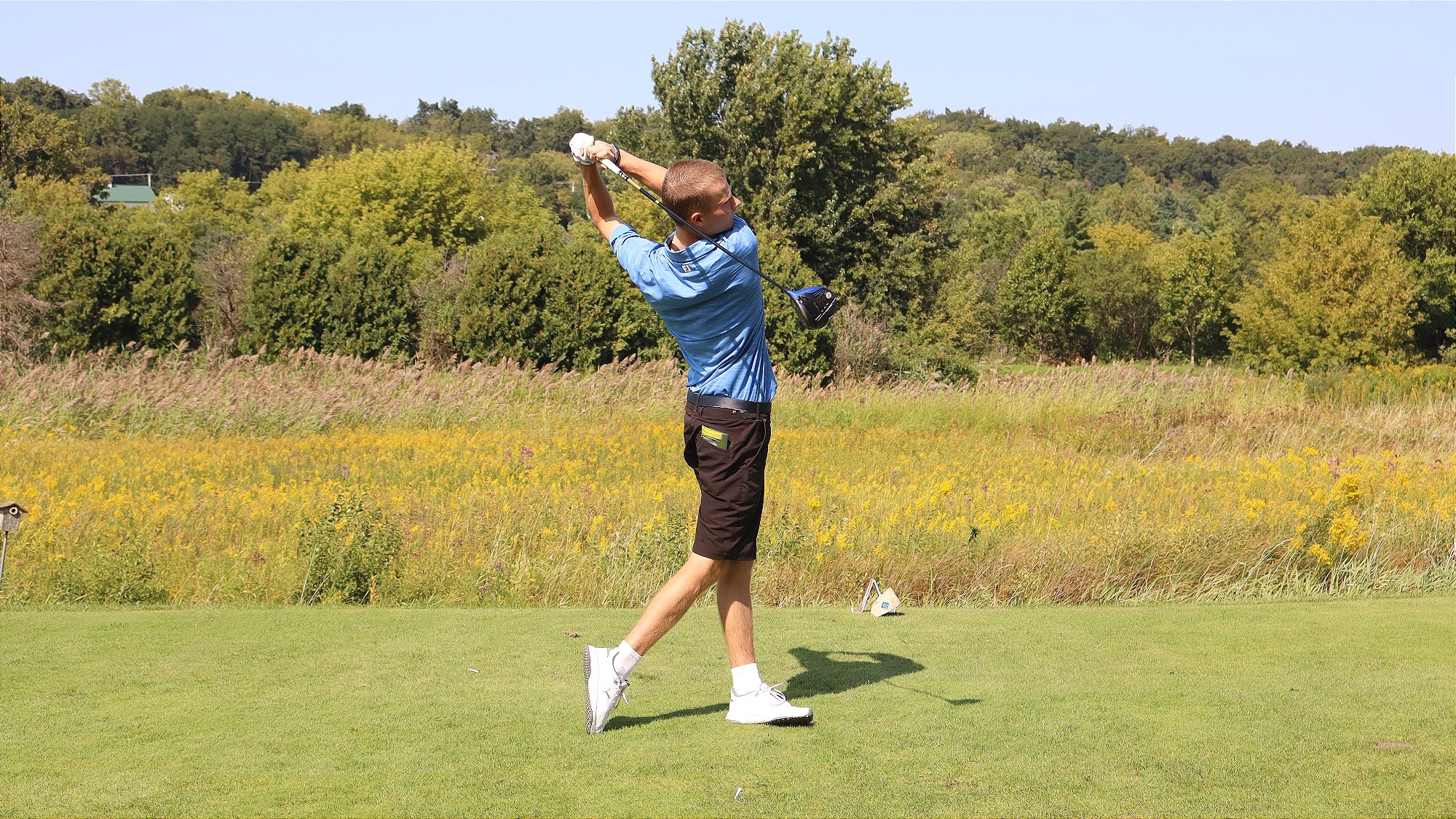 petterssondrivedy1lg24